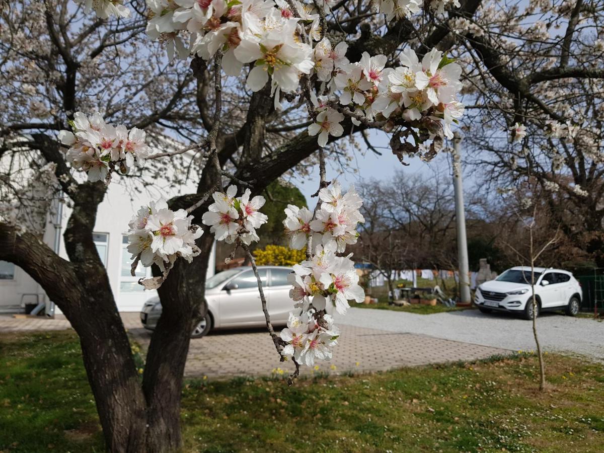 Apartment Rama Πόρετς Εξωτερικό φωτογραφία